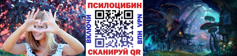 Псилоцибиновые грибы Psilocybe Дегтярск
